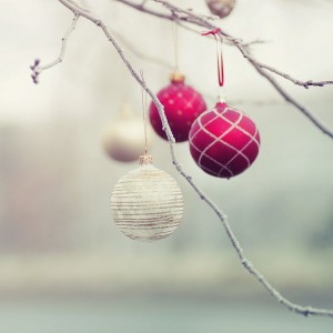 ramas-decoracion-navideña